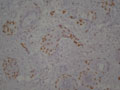 Case 4 - Bleiweiss, Figure 3