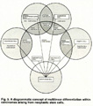 Case 6 - Elmberger, Figure 1