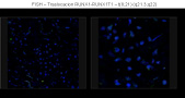 Case 9 - Forteza Vila, Figure 14