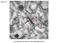 Case 7 - Forteza, Figure 3